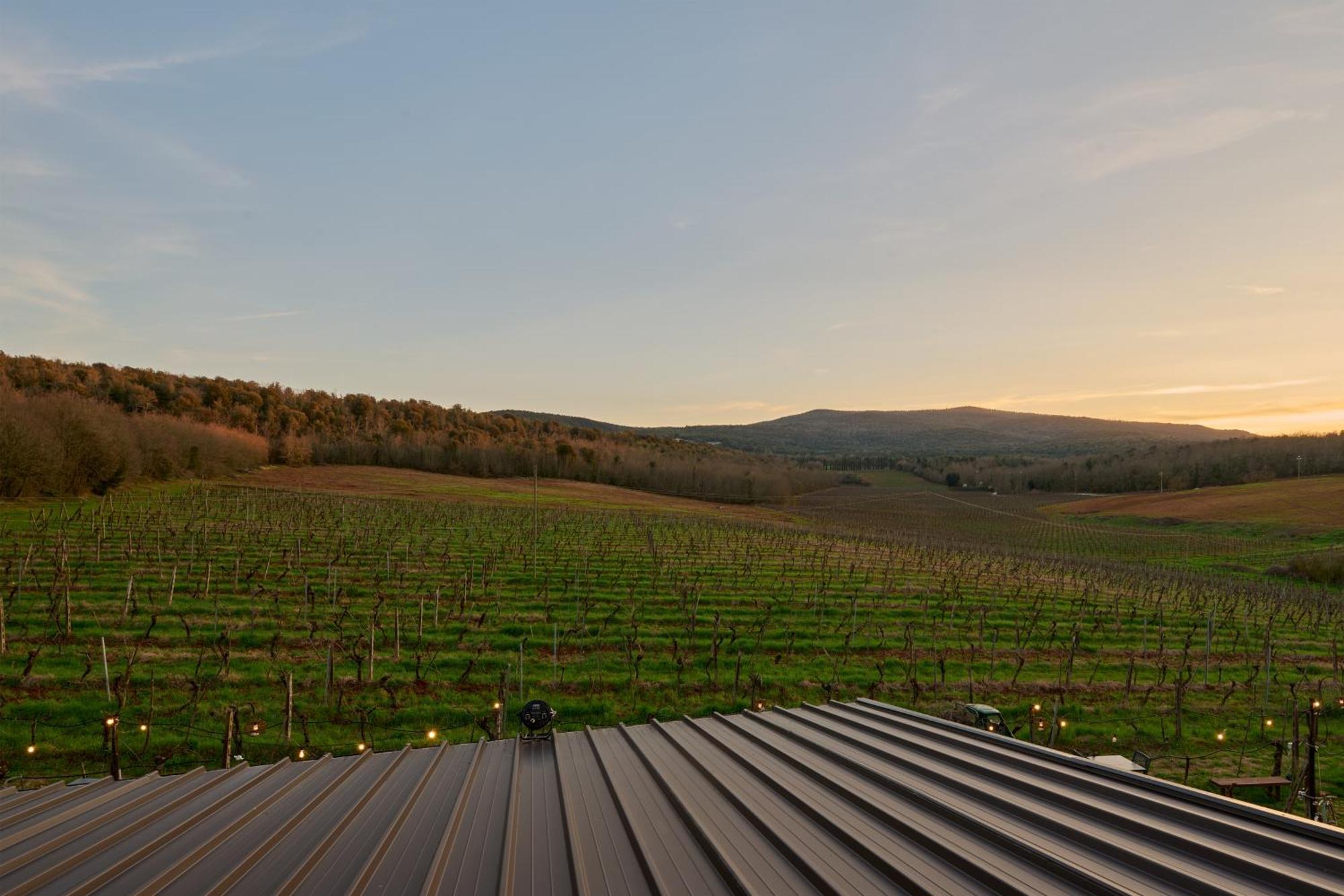La Dama Country Rooms Monteriggioni Exterior foto
